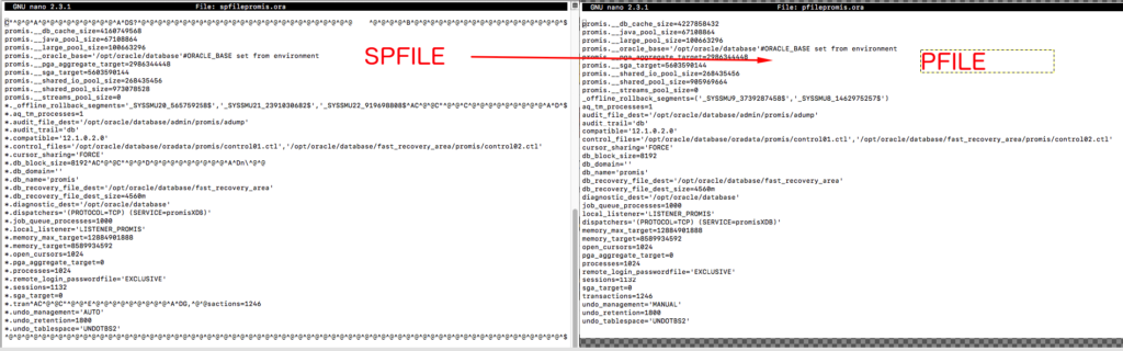 How to edit or fix corrupted spfile of Oracle database ? – Programmer's ...